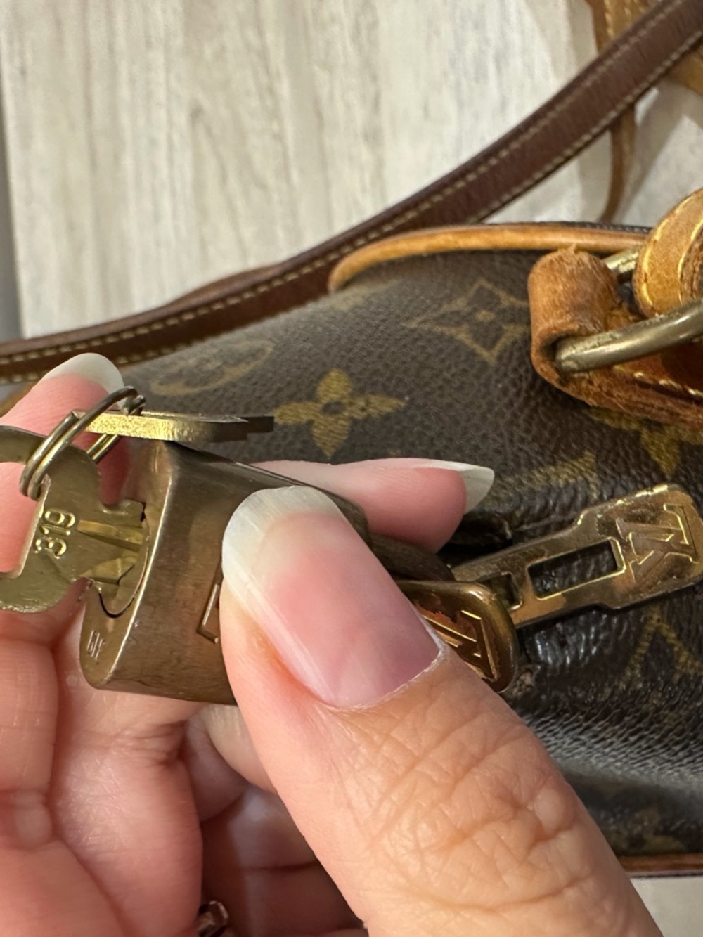 Louis Vuitton Monogram Ellipse Backpack - Picture 10 of 12